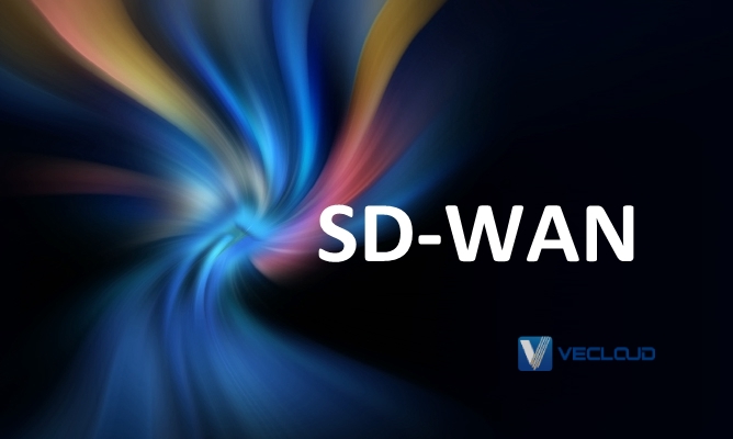 红遍全网的SD-WAN，到底是什么？