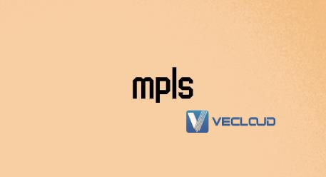 如何接入mpls虚拟网？