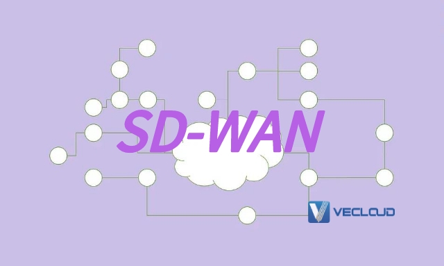 sdwan可以提供哪些服务?