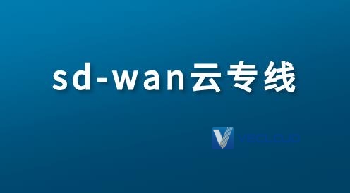 sdwan接入方式是怎样的？