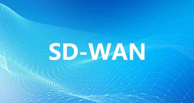 台湾客户SDWAN企业组网