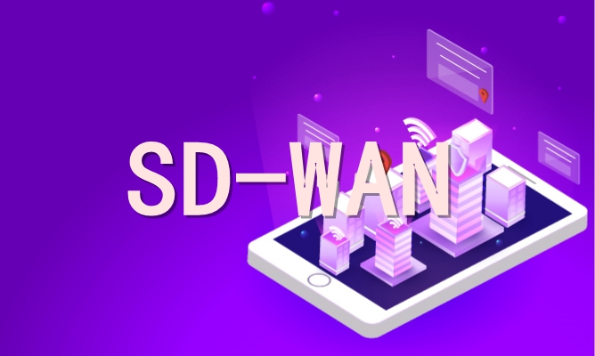 智能路由与SD-WAN对比分析