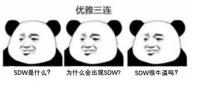 SD-WAN框架介绍