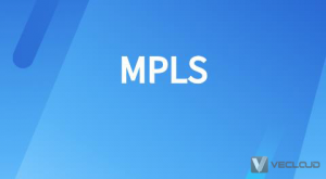 MPLS专线网络协议详解