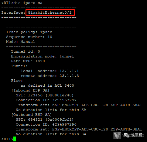 手工方式建立保护IPv4报文的IPsec-ESP隧道