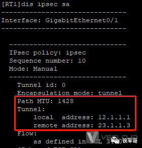 手工方式建立保护IPv4报文的IPsec-ESP隧道
