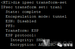 手工方式建立保护IPv4报文的IPsec-ESP隧道