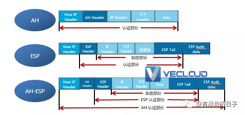 IPSec VPN