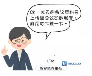 国际IPLC专线解决跨国企业视频会议卡顿问题
